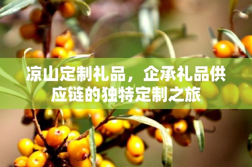凉山定制礼品，企承礼品供应链的独特定制之旅