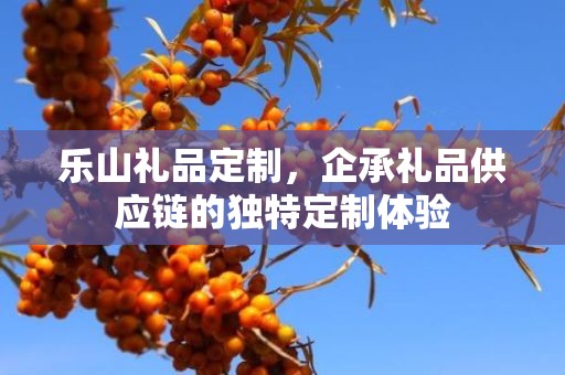 乐山礼品定制，企承礼品供应链的独特定制体验